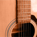 (MPI) Music Photographers International